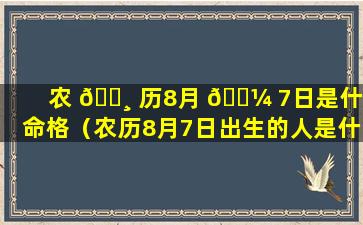 农 🌸 历8月 🐼 7日是什么命格（农历8月7日出生的人是什么星座）